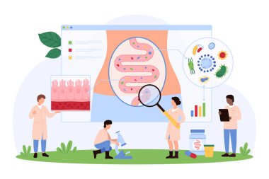 Bağırsak mikroflorası, bağışıklık ve sindirim sistemi sağlığının analizi. Küçük insanlar mikro organizma ve gastrointestinal sistemin bakterilerini büyüteç cam karikatür vektör çizimi ile araştırıyorlar.