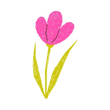 İzole edilmiş beyaz arkaplan çiziminde yeşil yapraklı pembe bir çiçeğin renkli çocuk çizimi