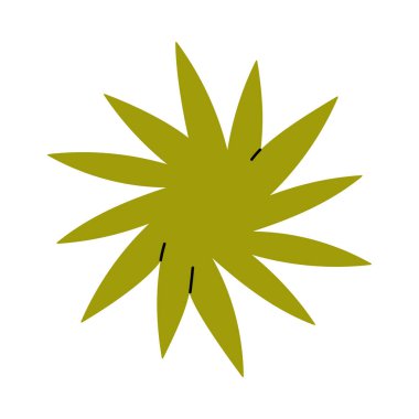 Beyaz zemin üzerinde minimalist soyut yeşil yıldız patlaması tasarımı, modern izole vektör illüstrasyonu için mükemmel.