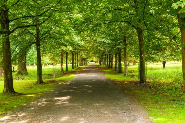 Baumallee gezinti güvertesinin eşsiz manzarası ünlü Tiergarten vahşi yaşam eğlence parkı, Hannover Almanya, yaz aylarında.