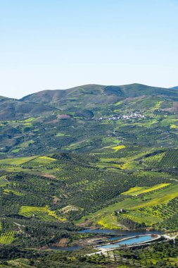 Archanes kırsal alanının benzersiz panoramik hava manzarası. Baharda yeşil çayırlar, zeytin ağaçları ve üzüm bağları. Heraklion, Girit, Yunanistan.