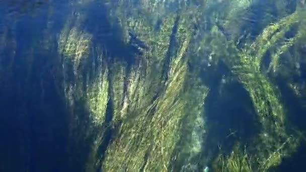 Алмирос Питается Пресной Водой Горных Ручьев Водно Болотных Угодий Пышная — стоковое видео