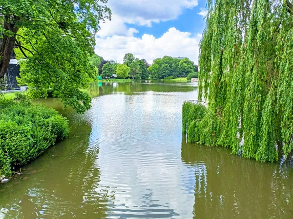 德国汉诺威新市政厅的马斯奇公园湖 清澈清凉的绿树叶和夏日蓝天映衬在平静的湖水中 — 图库照片