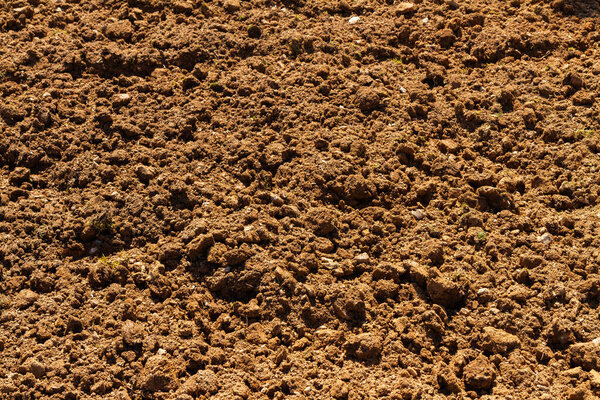 Dark brown fresh soil background. Ground preparation for next planting season.
