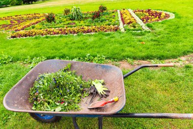 Gardener wheelbarrow with the gardening tools in the gardens with flower beds in the background. Gardening concept