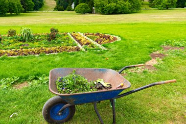 Bahçıvan el arabası, bahçede bahçe aletleri, arka planda ağaçlar ve çiçek yatakları. Bahçe konsepti