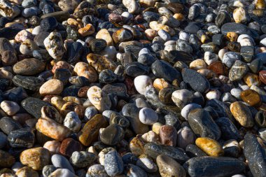 Sahilde eşsiz arkaplan deseni renkli ıslak çakıl taşları
