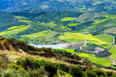 Archanes kırsal alanının benzersiz panoramik hava manzarası. Yeşil çayırlar, zeytin ağaçları ve ön planda su kaynağı altyapısı olan üzüm bağları. Heraklion, Girit, Yunanistan.