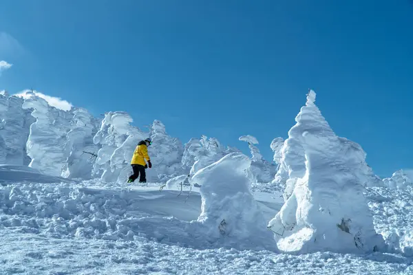 A traveler in a yellow jacket walks through snow-covered trees, known as snow monsters, under a clear blue winter sky at Mount Zao, Yamagata, Japan.