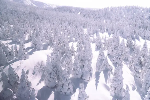 Snow Monsters Forest at Mount Zao JapanA breathtaking view of Mount Zaos snow-covered trees, known as Snow Monsters, forming a magical winter landscape in northern Japan.