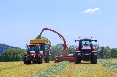 2 Haziran 2021 Skutec, Çek Cumhuriyeti: Mavi büyük bir römorktaki kırmızı bir traktör çimenleri tarladan taşıyor. Tarımda tarım işi.