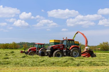 2 Haziran 2021 Skutec, Çek Cumhuriyeti: Tarladaki filizi kesen ve traktör römorkunu dolduran yem toplayıcısı. Tarlada çalış..