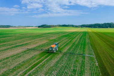 Bir traktör tarlalardan geçiyor ve buğdayı işliyor. Bitki ilaçları ve böcek ilaçları püskürtülmüş..