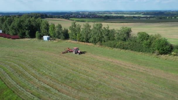 Farmář Otáčí Trávou Senným Hráběmi Připevněnými Traktoru Výstřel Výšky — Stock video