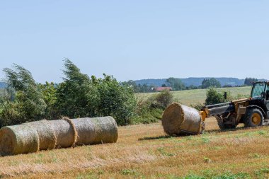 The process of pressing straw with balers. Modern technology. Straw in bales.