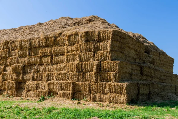 Lots of straw bales. Dry stalks of cereals and legumes. Agricultural waste.