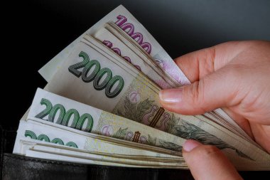 Siyah bir cüzdanda iki bin kron, Çek parası var. Para bir bankacının elinde, paranın yeniden hesaplanması..