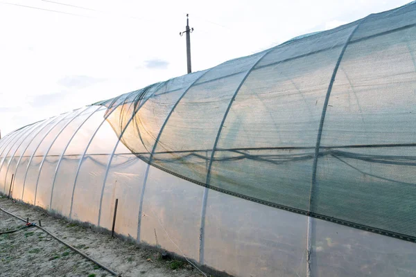 温室に緑の網を敷き 太陽から植物を人工的に保護する — ストック写真