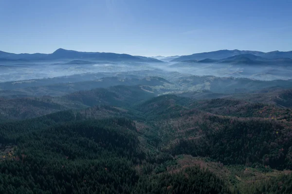 stock image Autumn fog in the mountains, trees and forest and mountainous terrain. Top view of the pine forest.