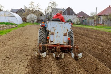 Küçük bir traktör ve bir saksı kullanarak verimli toprağa patates ekiyorum. Tarım İşleri.