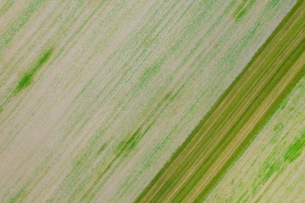 Alan Arkaplanı Metin Yazmak Için Yer Agrodesign Alanların Tepesinden Görüntüle — Stok fotoğraf