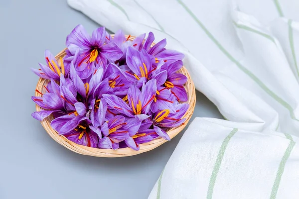 Fleurs Violettes Avec Étamines Rouges Crocus Fleurs Safran Dans Une — Photo