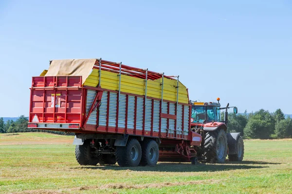 Ein Roter Traktor Auf Einem Blauen Großen Anhänger Transportiert Gemähtes — Stockfoto