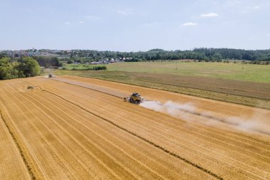 Buğday çiftçileri hasat mevsiminde deneyimli kombine operatörlerinin uzmanlığına güvenirler. Buğday, ekmek, makarna ve mısır gevreği gibi çeşitli gıda ürünlerinde temel bir bileşendir..