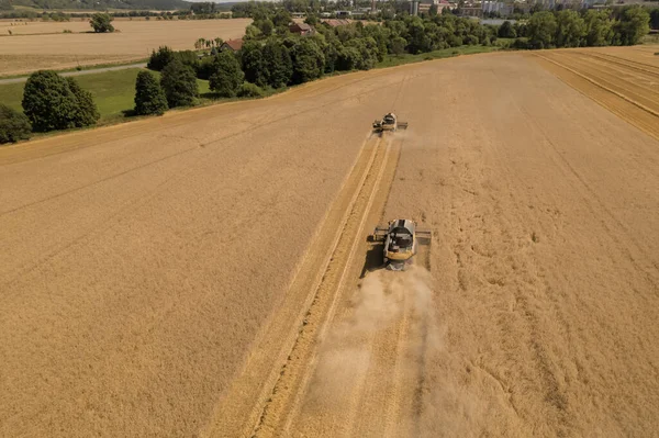 Collected wheat undergoes further processing and storage before reaching consumers.Wheat combines can cover vast areas in field, ensuring an efficient collection of crop.