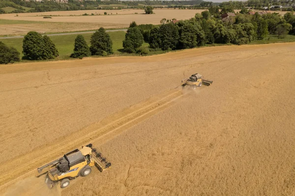 Урожай Пшеницы Занят Фермеров Используют Комбайны Сбора Урожая — стоковое фото