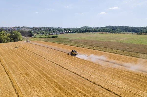 Wheat farmers rely on expertise of experienced combine operators during harvest season. Wheat is an essential ingredient in various food products such as bread, pasta, and cereals.