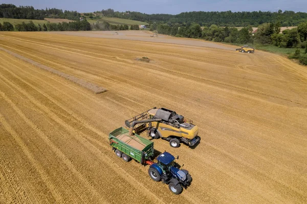 Modern tarım uygulamaları, kombinasyon kullanımı da dahil, buğday hasadında devrim yaratarak, onu daha verimli ve üretken hale getirmiştir..