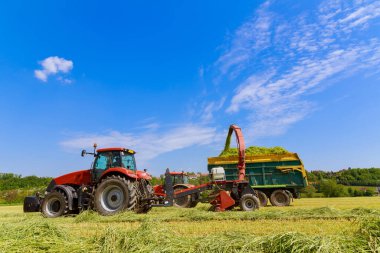 Bir traktör römorkunda çimenleri biçmek, mavi gökyüzü ve güneşli bir gün. Kış için ekin hazırlığı. Tarlada çalış..