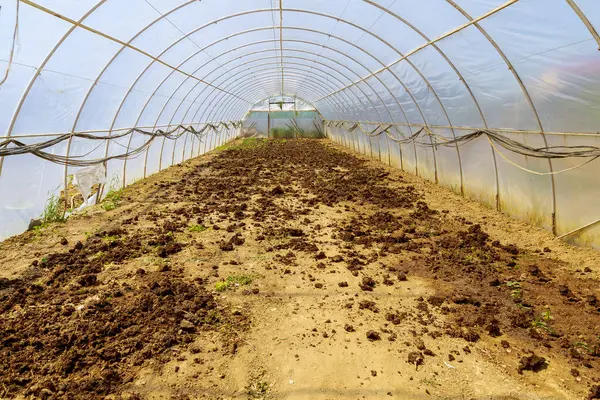 Adding organic fertilizers to soil before plowing. High yield in greenhouse of vegetable crops.