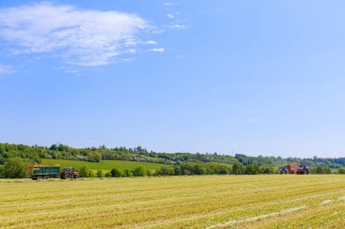 Hasat makinesi, tarlada tohum kesme ve traktör römorkunu doldurma. Kırsal kesimde. Modern teknoloji bu alanda işe yarar..