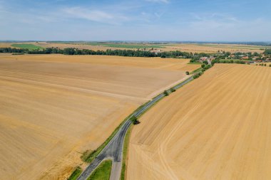 Çalışkan çiftçiler, tarlalarından altın buğday toplama görevlerini tamamladıkları için kutlama yaptılar..