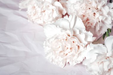 Pastel üzerinde karanfil çiçekleri. Pembe buruşuk kağıt arka plan.
