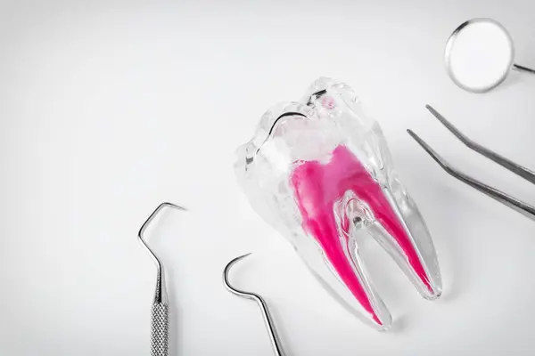 Concetto Dentale Con Strumenti Dentistici Sfondo Bianco Spazio Copia Fotografia Stock