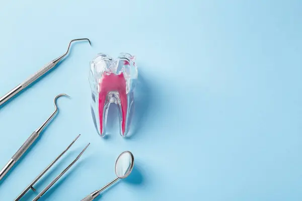 Dente Con Strumenti Dentistici Cura Dentale Trattamento Sfondo Blu Vista Foto Stock Royalty Free