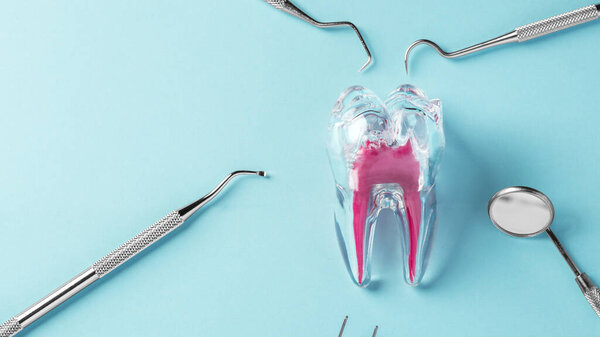 Tooth with dentist tools, dental care and treatment on blue background, top view