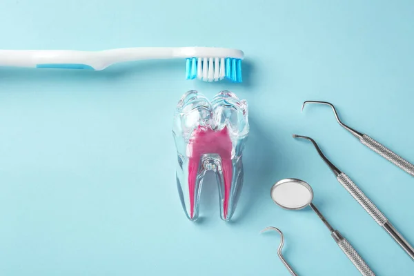 Dental care concept, tooth with toothbrush and dentist instruments on blue background, top view
