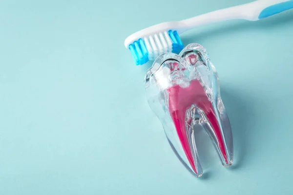 Dental care concept, tooth with toothbrush on blue background, copy space