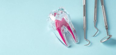 Diş ve diş aletleriyle mavi arka planda diş bakımı, kopyalama alanı