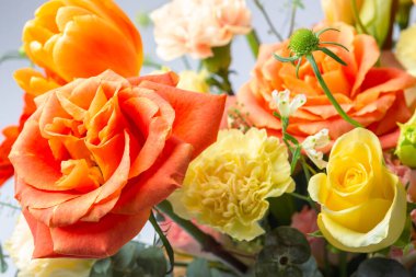 Çiçek arkaplanı turuncu güller ve çiçekler