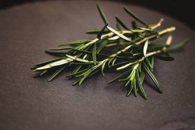 Rosemary herb on a gray stone board in a round shape on a black background