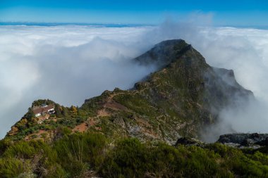 Madeira 'daki dağlar sisli.