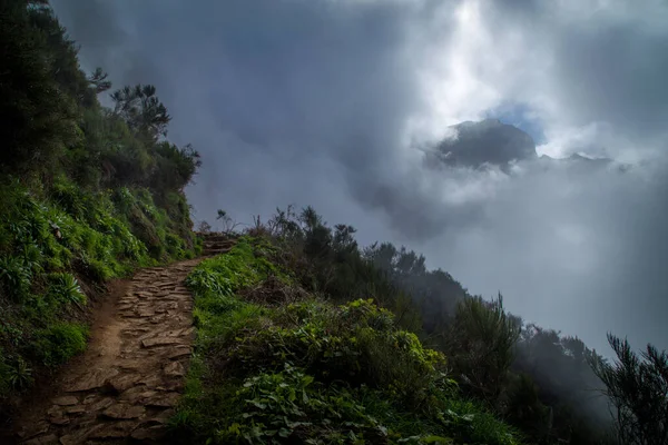 Berge Auf Madeira Mit Nebel — Stockfoto