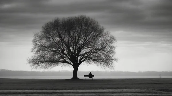 A person sitting on a bench next to a tree and a lone tree in the distance desaturated a black and white photo minimalism. back view.