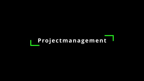 Профессиональное Управление Проектами Облако Слов Тегов Рекомендуемыми Методами Советами Улучшению — стоковое видео