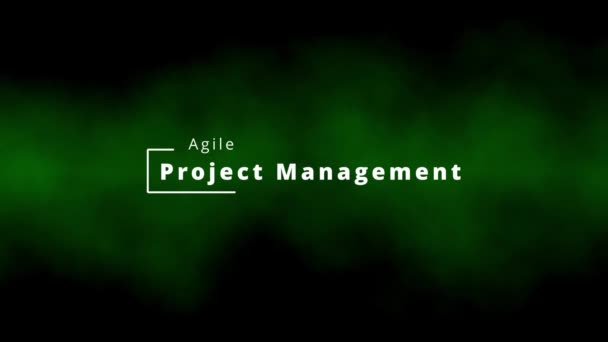 Professional Agile Project Management Word Cloud Termini Agilità Tag Cloud — Video Stock